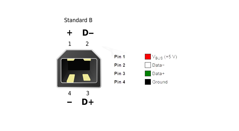 كانكتور USB-B مادگی